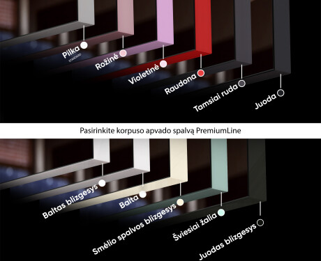 SMART Veidrodis su apšvietimu LED L02 Apple #6